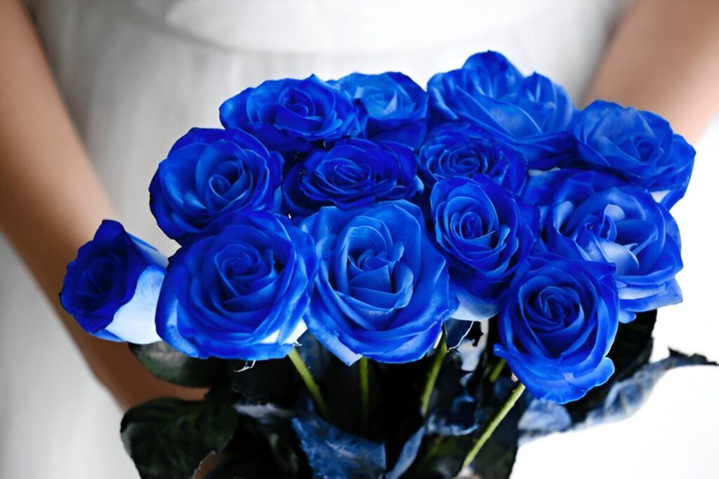 blue roses