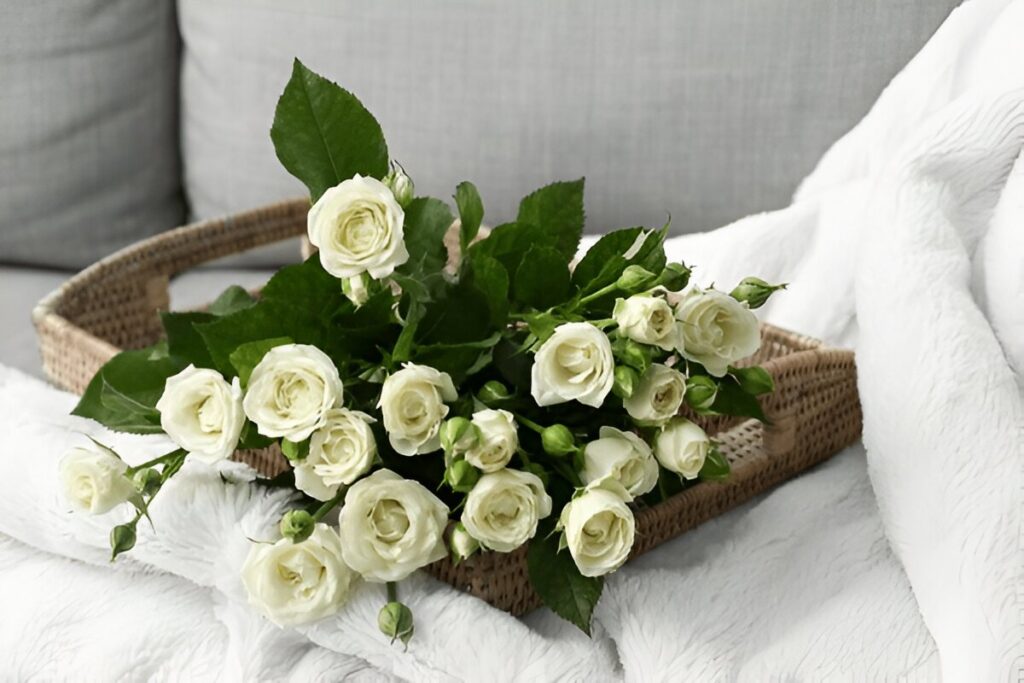 white roses